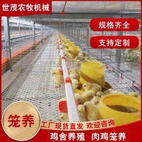 肉雞籠養(yǎng)設備喂料系統(tǒng) 養(yǎng)雞場蛋雞籠養(yǎng)殖階梯式籠 鍍鋅防銹雞籠子
