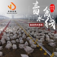 養(yǎng)雞鴨子水線設(shè)備 平養(yǎng)雞鴨舍養(yǎng)殖水線 肉雞鴨雞用水線 供水系統(tǒng)