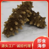 大連即食海參鮮活海參開袋即食廠家現(xiàn)貨批發(fā)商用批發(fā)順豐包郵500g