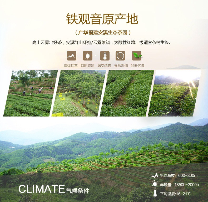 廣華安溪原產(chǎn)地