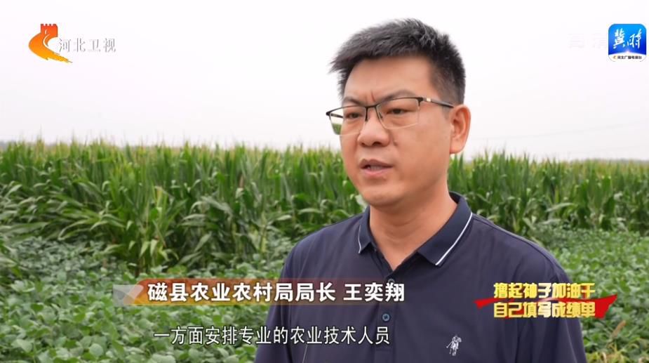 河北：惠農(nóng)政策漸次發(fā)力 激發(fā)農(nóng)業(yè)發(fā)展動力