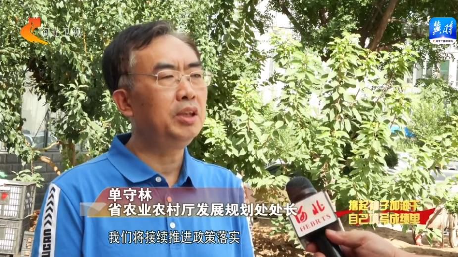 河北：惠農(nóng)政策漸次發(fā)力 激發(fā)農(nóng)業(yè)發(fā)展動力