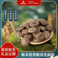 湖北隨州特產(chǎn)食用菌香菇冬菇光面菇干貨批發(fā)根短肉厚香菇產(chǎn)地直發(fā)