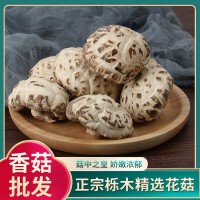 食用大花菇干貨冬菇山里崗農(nóng)家椴木剪腳厚香菇家用白花菇