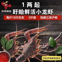 1兩起鮮活盱眙十三香龍蝦5斤裝盱眙洪澤湖鮮活水產(chǎn)養(yǎng)殖清水小龍蝦