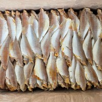紅杉魚（一件24斤）