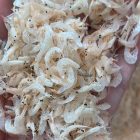 蝦皮 蝦米 淡干 熟蝦皮 流水線