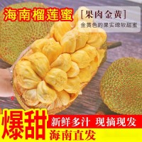 榴蓮蜜海南新鮮尖拉非海南密熱帶新鮮水果包郵批發(fā)亞馬遜獨立站