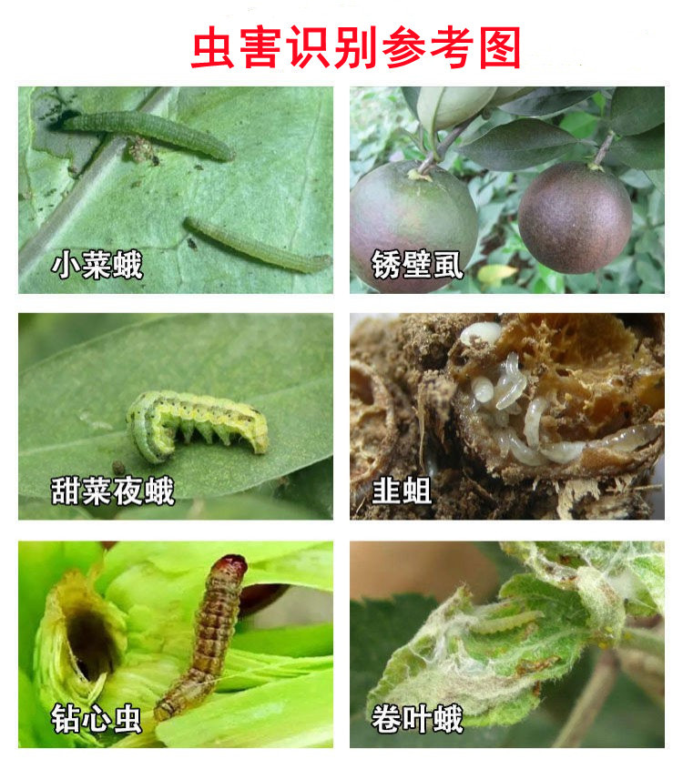 詳情頁1