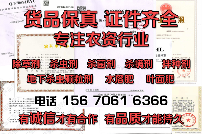 證件照加