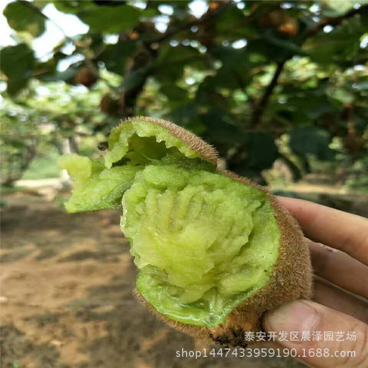 圖片_20180813104242.jpg