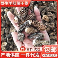 云南特產(chǎn)羊肚菌干貨 頭茬剪角羊肚菌 煲湯食材飲食羊肚菌干貨