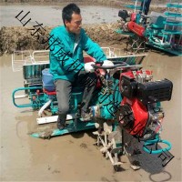 農(nóng)作物秧苗插秧機(jī)播種機(jī) 農(nóng)用水稻插秧機(jī) 小型家用種秧機(jī)械廠家