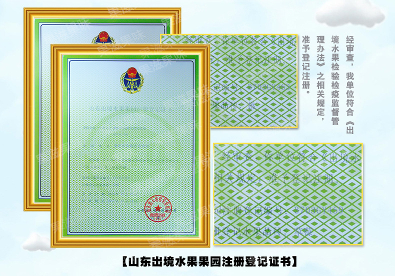 芒果-散裝詳情_(kāi)16.jpg