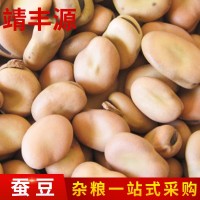 利源美味生蠶豆批發(fā) 農(nóng)場甘肅農(nóng)家炒貨特色蔬菜蠶豆