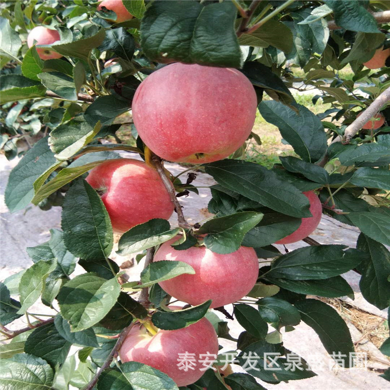 微信圖片_20180809165439.jpg