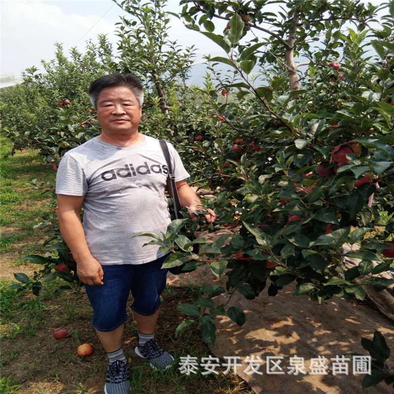 微信圖片_20180809165530.jpg