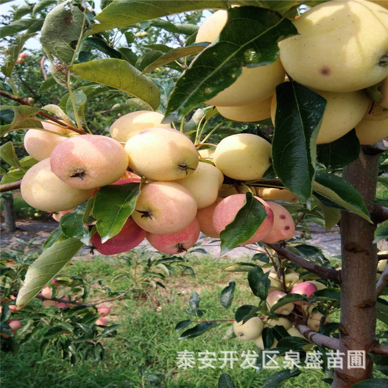 微信圖片_20180809165332.jpg