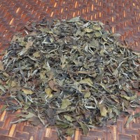 2011白牡丹 福鼎磻溪高山白茶 出口品質(zhì) 煮泡皆宜