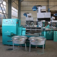 不銹鋼茶油螺旋榨油機 小型商用全自動花生不銹鋼炒榨一體機