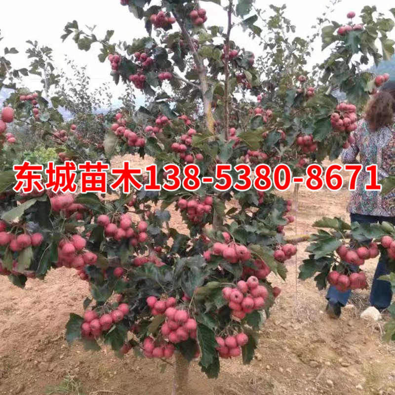 b8623ab92f32963b55d2d0a60b2c26
