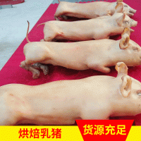 整只烘焙乳豬送禮年貨禮盒大禮包 烘焙乳豬烤香豬特產(chǎn)食品批發(fā)
