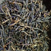 壽寧南陽(yáng)高山紅茶梗 大批量紅茶頭 大批量紅茶梗廠家批發(fā)