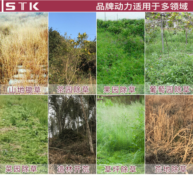 詳情_05.jpg