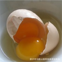 農(nóng)家散養(yǎng)雙黃雞蛋農(nóng)家蛋草雞蛋柴雞蛋批發(fā) 兩個黃 雞蛋中的雙胞胎