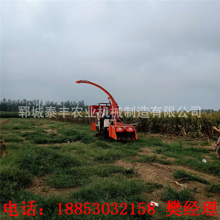 小型履帶背負(fù)式割臺(tái)青儲(chǔ)機(jī)