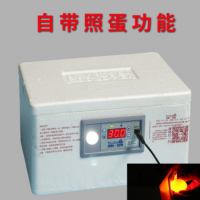 伊科貝特仿生水床孵化機 家用型20枚孵化器小型 自動控溫孵蛋器