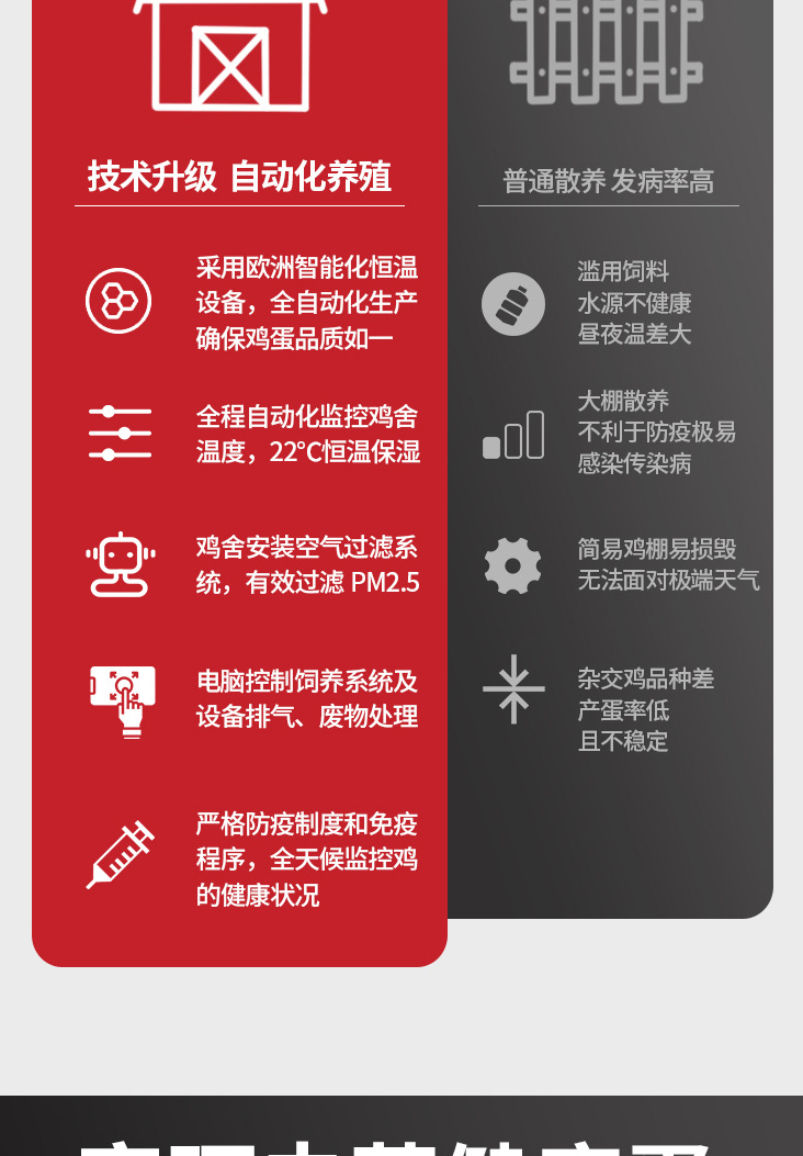 詳情頁二稿8.jpg