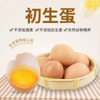初生蛋無抗富硒新鮮雞蛋40枚12-15個1斤非柴土散養(yǎng)生食雞蛋包郵