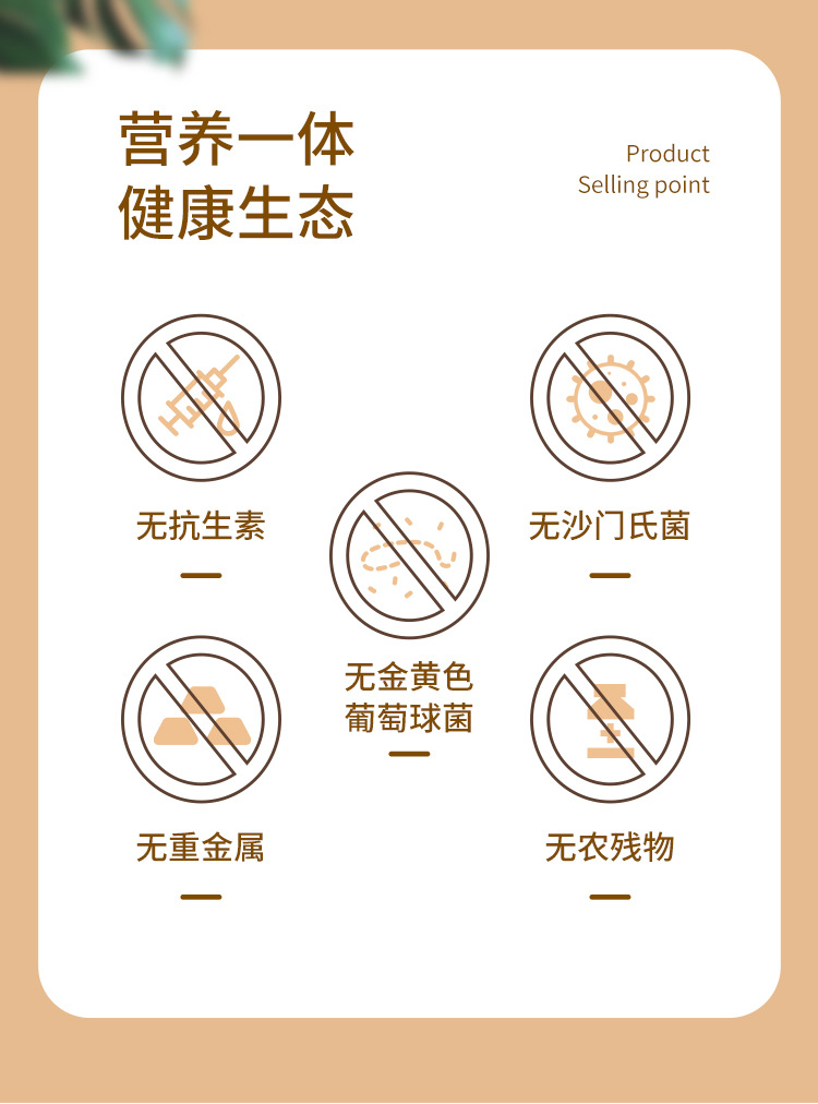 詳情 (4).jpg