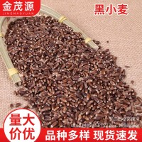 煮粥磨面做糕點(diǎn)原材料現(xiàn)貨批發(fā)農(nóng)家黑小麥磨面 五谷雜糧黑小麥