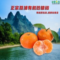 國家認證有機水果正宗有機荔浦砂糖桔無籽蜜桔批發(fā)高品質(zhì)現(xiàn)摘現(xiàn)發(fā)