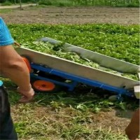 新型電動葉菜收獲機 手扶式電池款蒲公英收割機 青菜收割機