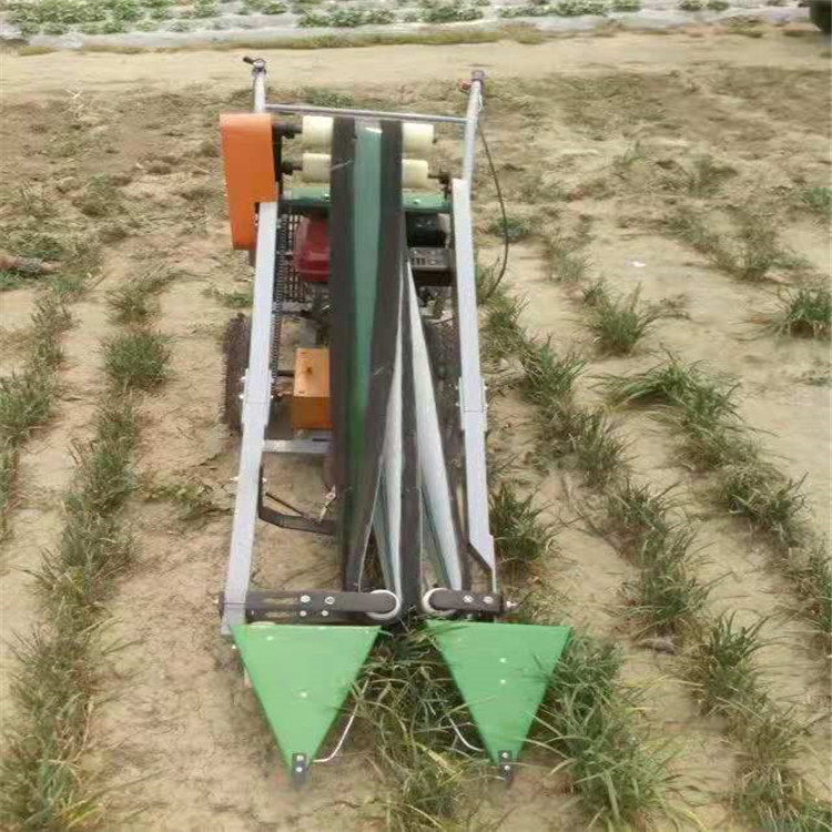 848655845959140129