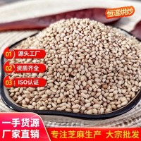 芝麻官 熟白芝麻 食品廠專用 精選國產(chǎn)色選芝麻50斤 廠家批發(fā)