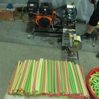 新款自動(dòng)切玉米大米膨化機(jī)圖片康樂果雜糧膨化機(jī)雙機(jī)江米棍膨化機(jī)