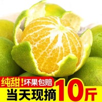 廣西皇帝柑大果新鮮現(xiàn)摘5斤沃柑椪柑水果當季整箱貢桔橘子