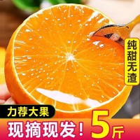 愛媛38號果凍橙四川薄皮手剝爆甜柑橘桔子當季時令新鮮水果