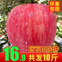 蘋果水果冰糖心10斤紅富士新鮮當(dāng)季整箱陜西丑蘋果脆甜一件批發(fā)