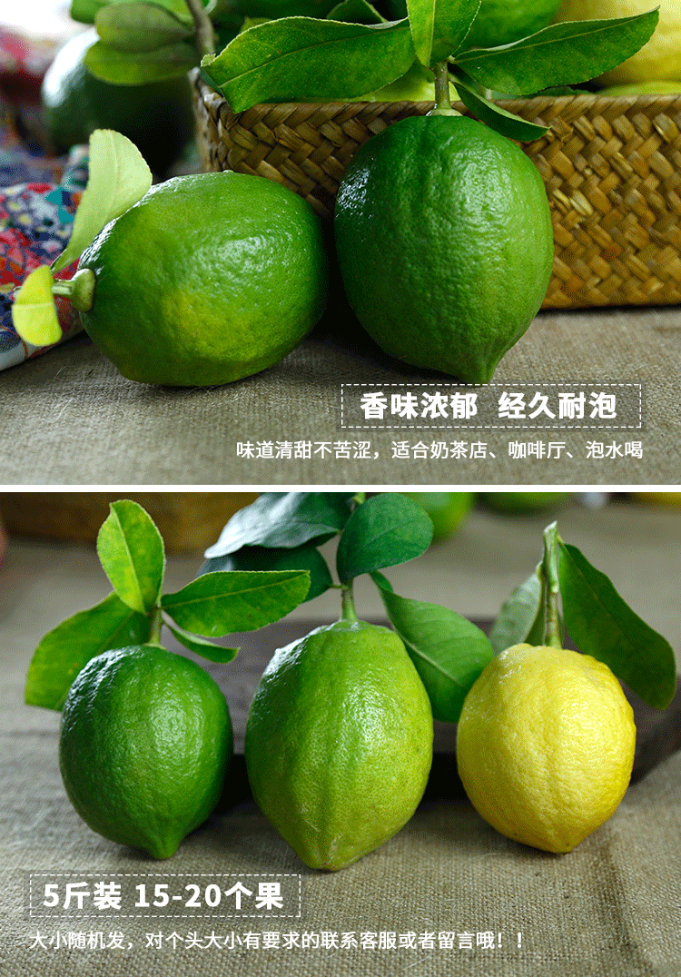 香水檸檬詳情_06