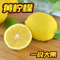 四川安岳黃檸檬當季新鮮水果一級果皮薄批發(fā)尤力克檸檬奶茶店代發(fā)