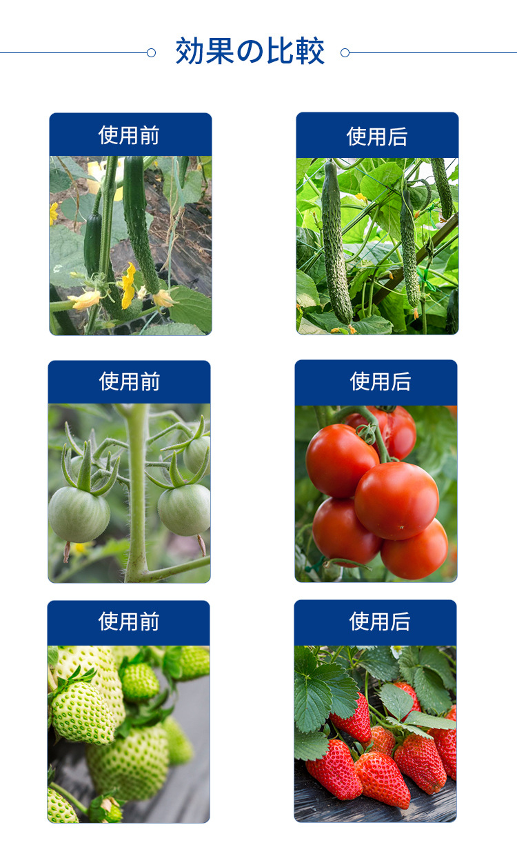 未標題-2_04.jpg