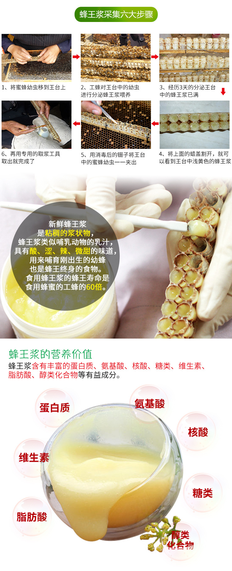 蜂王漿詳情_04