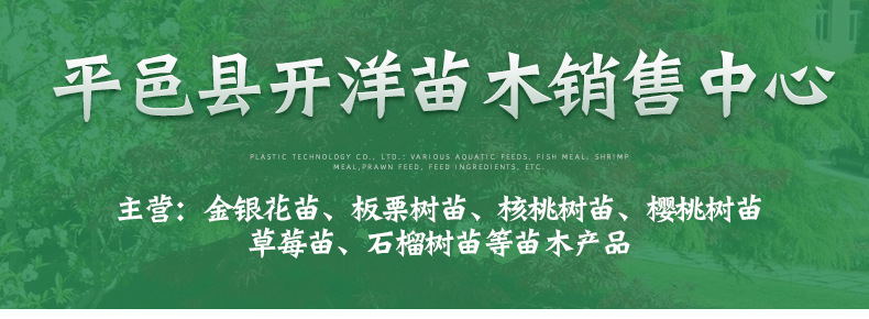 開洋苗木精品_01