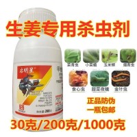 30G生姜?dú)⑾x劑大姜?dú)⑾x藥姜螟鉆心蟲姜弄蝶生姜蟲防偽