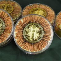西藏那曲冬蟲夏草 足干無斷草小干草 足干小草100條/盒一手價格